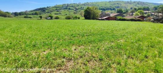 TERRENO DE  6.696 M2. EN LA ZONA DE TORANZO.- - CANTABRIA