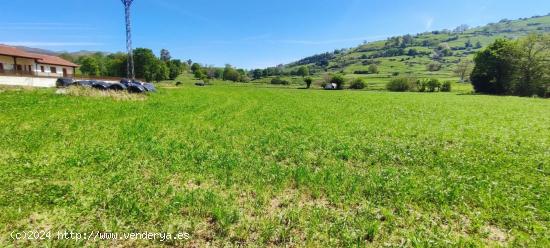 TERRENO DE  6.696 M2. EN LA ZONA DE TORANZO.- - CANTABRIA