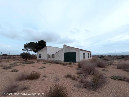 Finca Los Almagros - MURCIA