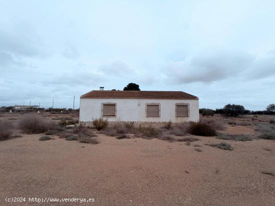 Finca Los Almagros - MURCIA