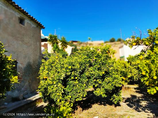  TE GUSTA EL PARAISO? - GRANADA 