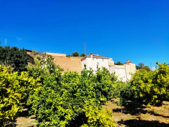 TE GUSTA EL PARAISO? - GRANADA