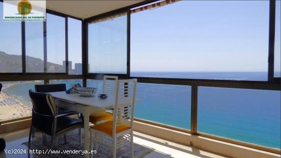 Piso en Primera linea Benidorm planta alta con vistas de escándalo. - ALICANTE