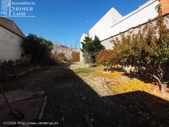 Solar en Venta en Tomelloso, Zona Calle Manterola/calle Amparo - CIUDAD REAL