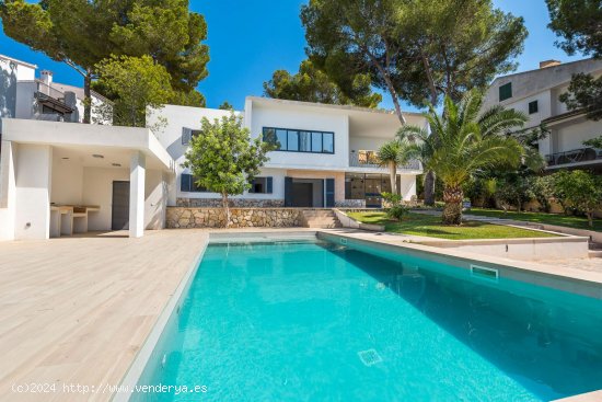  Villa en alquiler en Calvià (Baleares) 