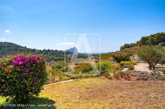 Finca en venta en Benissa (Alicante)