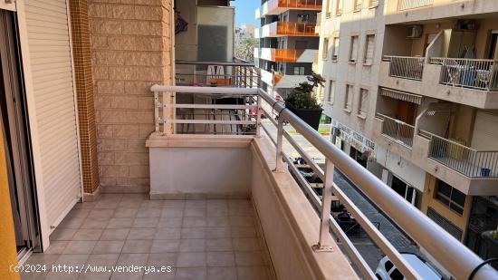  APARTAMENTO DE 1 DORMITORIO A 80 METROS DE LA PLAYA DE LOS LOCOS - ZONA TORREVIEJA - - ALICANTE 