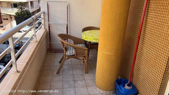 APARTAMENTO DE 1 DORMITORIO A 80 METROS DE LA PLAYA DE LOS LOCOS - ZONA TORREVIEJA - - ALICANTE