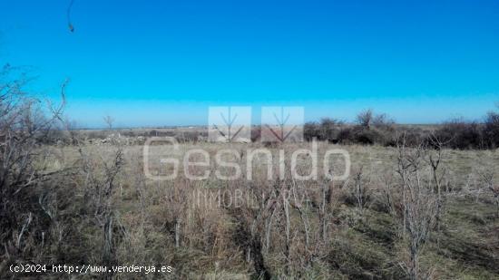 FINCA RÚSTICA en VENTA de 2.360m² en TORRECABALLEROS - SEGOVIA - SEGOVIA