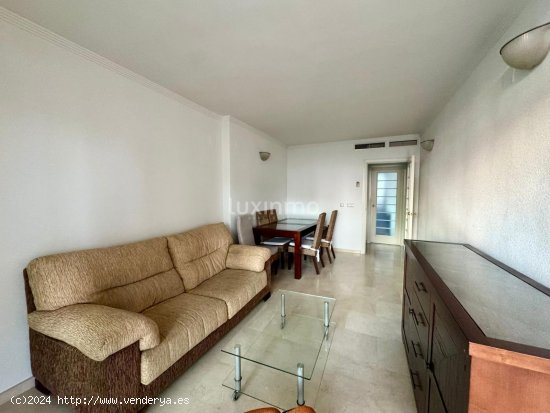 Apartamento en alquiler en Benidorm (Alicante)