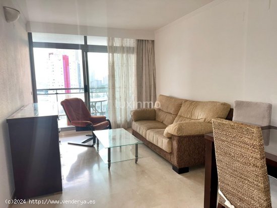 Apartamento en alquiler en Benidorm (Alicante)