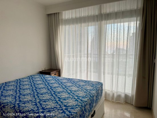 Apartamento en alquiler en Benidorm (Alicante)