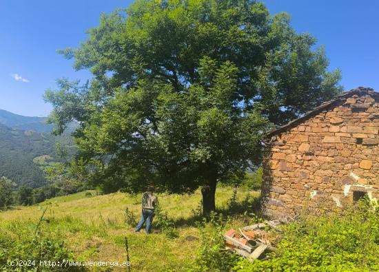  Finca de 36.165 m² con Cuadra para Reformar en Longanedo, Aller -  Oportunidad Única  - ASTURIAS 