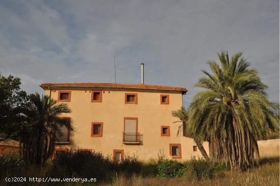 Casa en venta en Pinoso (Alicante)