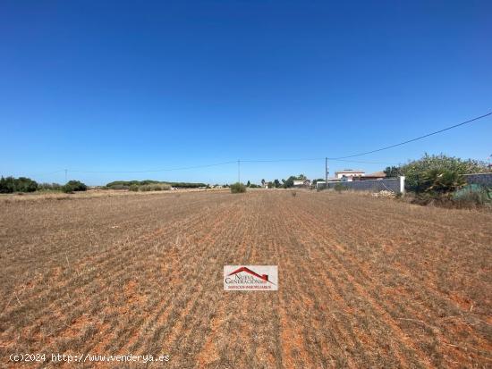 TERRENO RUSTICO - CADIZ