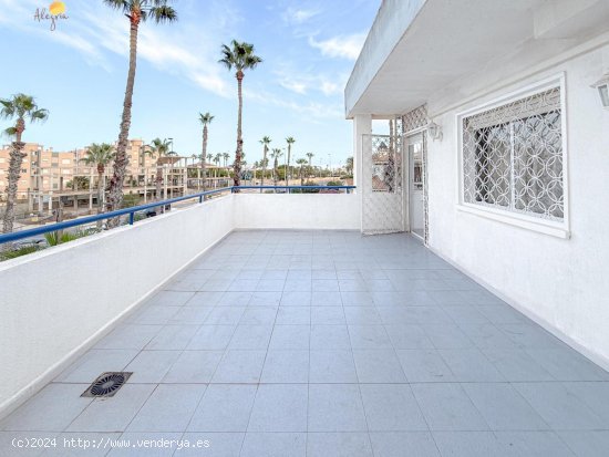  Apartamento en venta en Torrevieja (Alicante) 