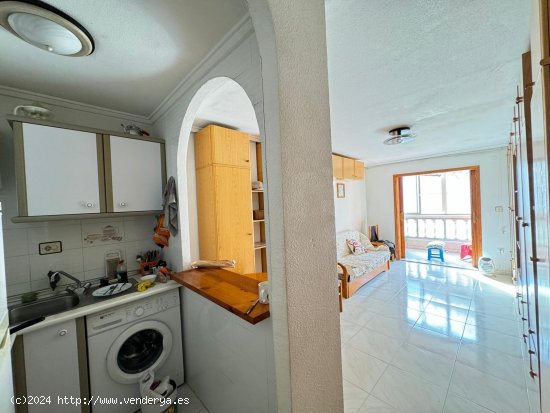 Estudio en venta en Torrevieja (Alicante)