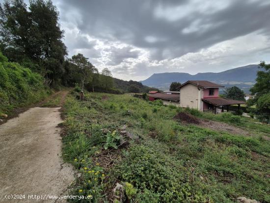  EN VENTA TERRENO EN EL VALLE DE MENA - BURGOS 