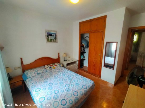 Apartamento en alquiler en Torrevieja (Alicante)