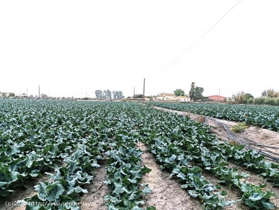  Parcela para construcción de vivienda unifamiliar en La Torrecilla - MURCIA 