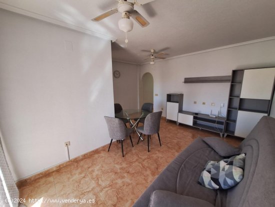  Apartamento en alquiler en Torrevieja (Alicante) 