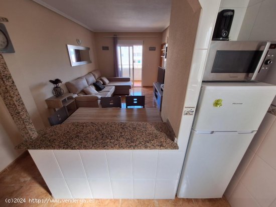 Apartamento en alquiler en Torrevieja (Alicante)