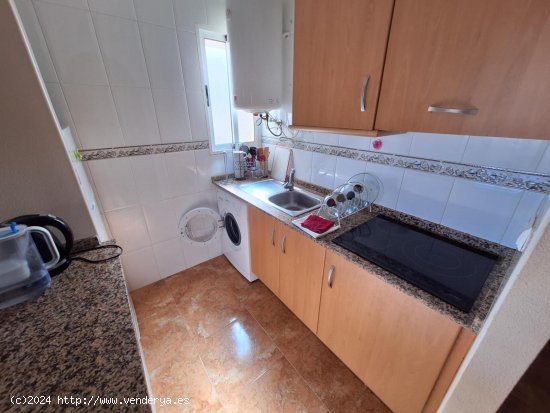 Apartamento en alquiler en Torrevieja (Alicante)