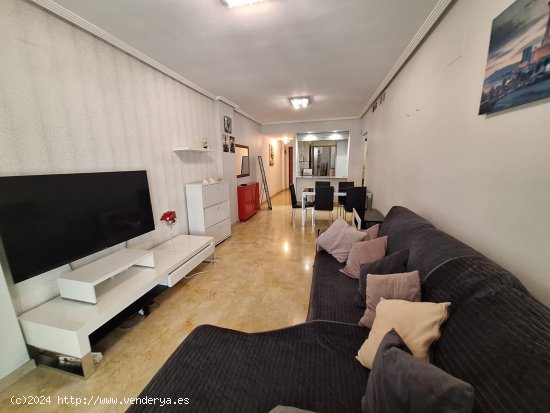 Apartamento en alquiler en Torrevieja (Alicante)