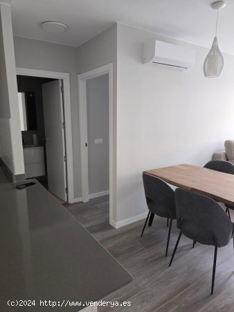 Apartamento en alquiler en Pilar de la Horadada (Alicante)