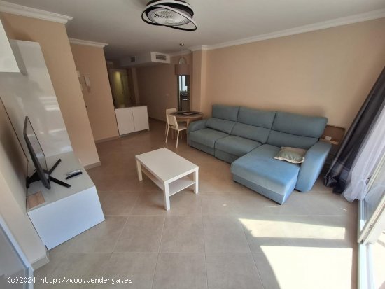  Apartamento en alquiler en Torrevieja (Alicante) 