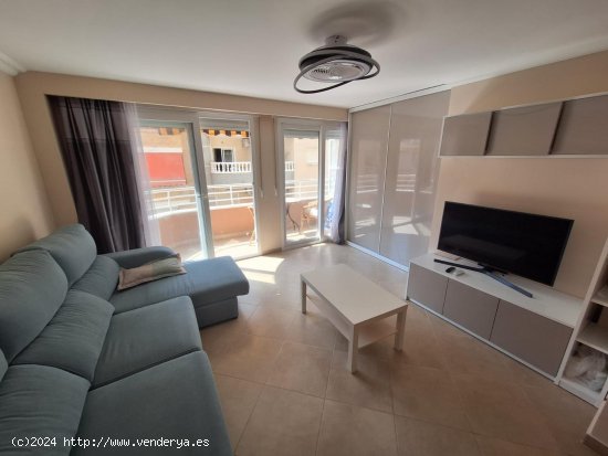 Apartamento en alquiler en Torrevieja (Alicante)