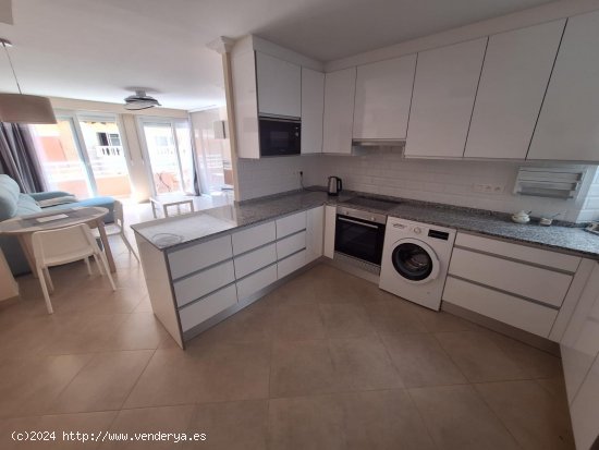 Apartamento en alquiler en Torrevieja (Alicante)