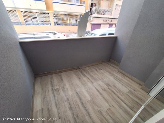 Apartamento en alquiler en Torrevieja (Alicante)