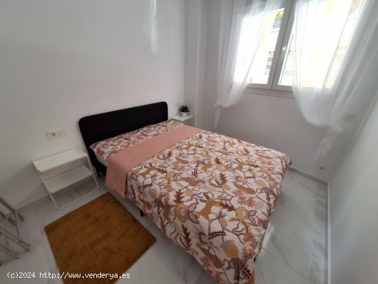 Apartamento en alquiler en Torrevieja (Alicante)