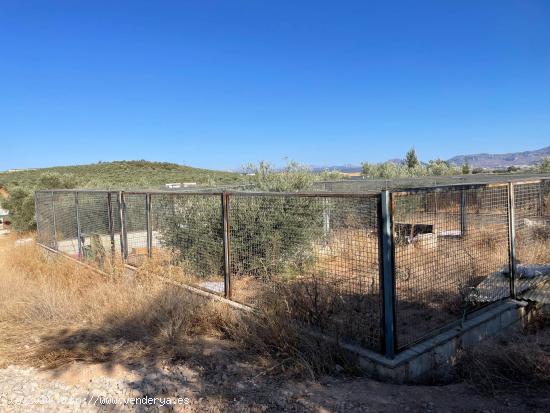 Parcela rústica de 2.500m2 con agua y luz - MALAGA