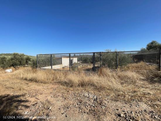 Parcela rústica de 2.500m2 con agua y luz - MALAGA