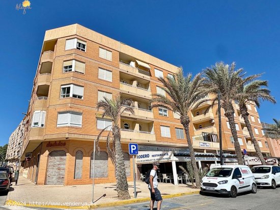 Apartamento en venta en Guardamar del Segura (Alicante)