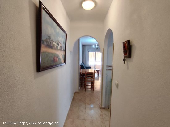 Apartamento en venta en Torrevieja (Alicante)