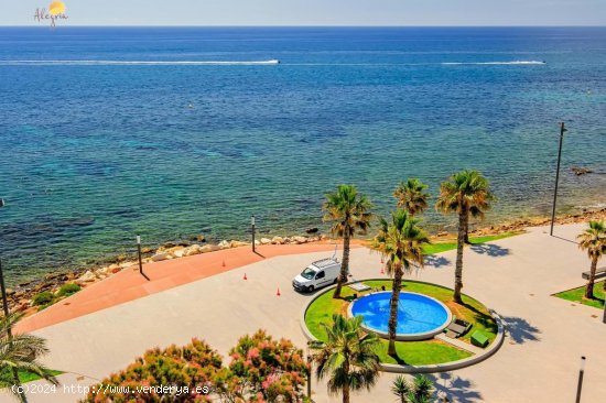  Apartamento en venta en Torrevieja (Alicante) 