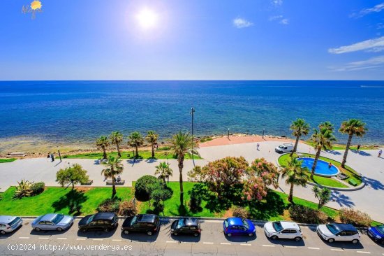 Apartamento en venta en Torrevieja (Alicante)