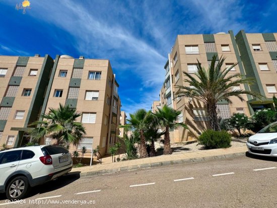 Apartamento en venta en Torrevieja (Alicante)