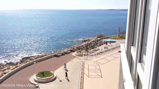 Apartamento en venta en Torrevieja (Alicante)