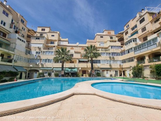  Dúplex en venta en Torrevieja (Alicante) 