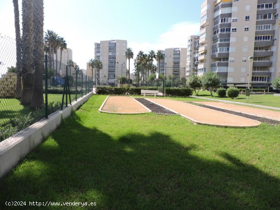 Apartamento en alquiler en Alicante (Alicante)