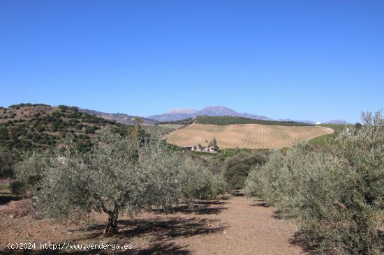 Solar en venta en Coín (Málaga)