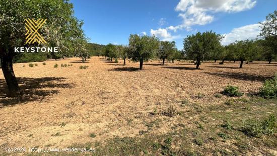 Terreno Urbanizable en Porreres - BALEARES