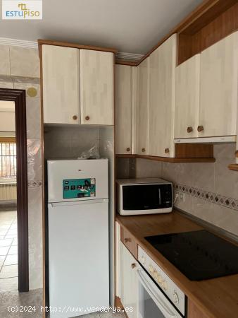 BAJO EN PORTAL DE BERGARA - 54m2-Bajo de 2 habitac-Salon-Cocina y 1 baño - ALAVA