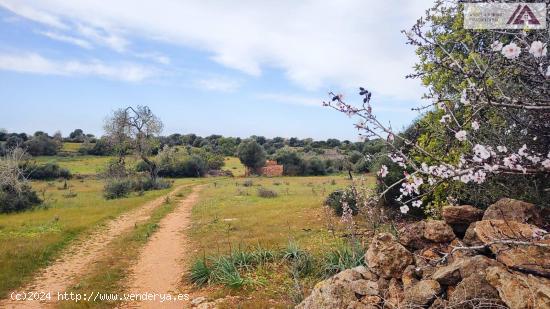 Estupendos terrenos agrupables a pocos minutos de Portopetro con vistas unicas - BALEARES