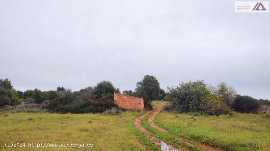 Estupendos terrenos agrupables a pocos minutos de Portopetro con vistas unicas - BALEARES