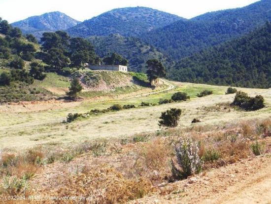 TIERRA DE TRABAJO Y MONTAÑA - MURCIA